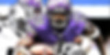 VIKES.jpg