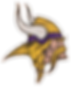 VikingsLOGO.png
