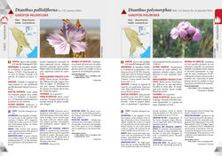 The_Red_Book_interior_spread