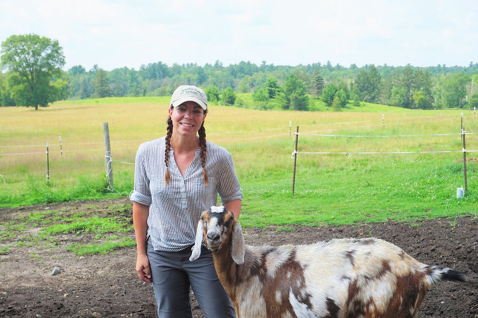 A person is standing next to a goat.