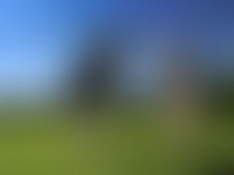 Two dairy cows standing in a field.