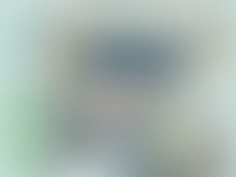 Cover of WI LFPA Final Report