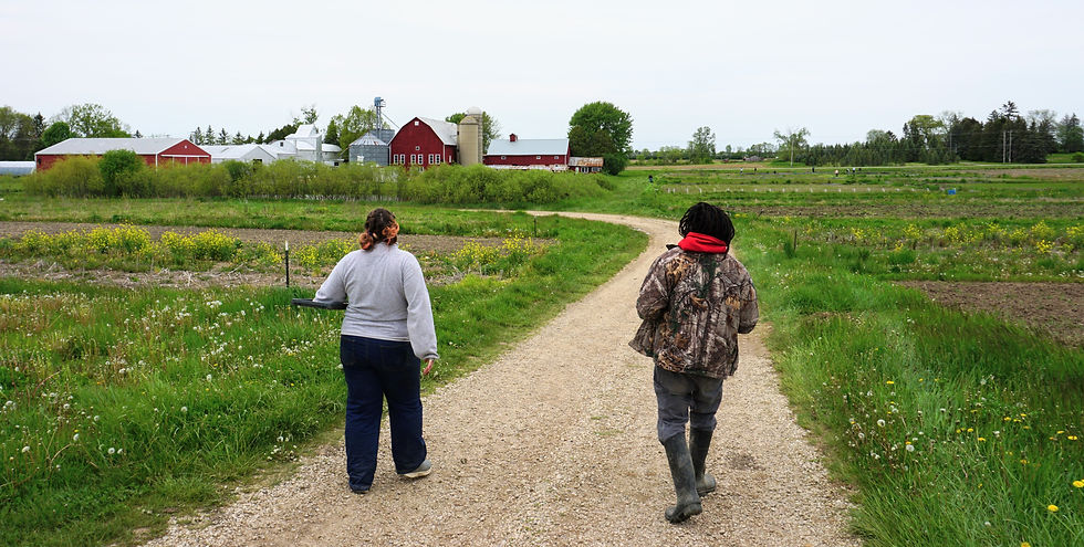 Amy and Martice walk down a path at Fondy Farm project. There are more fields and a red barn in the distance.