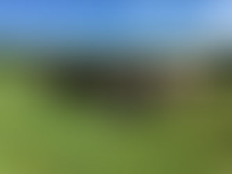 Let’s give dairy farmers something to celebrate.