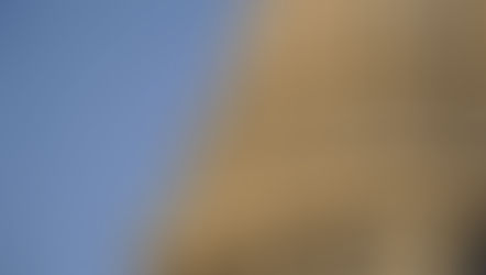 The Wisconsin Capitol rotunda. 