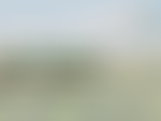 Lunch and Learn: Ethanol, Implications and a Livelihood