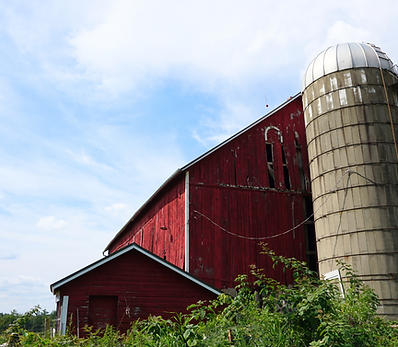 Barn Photo.png