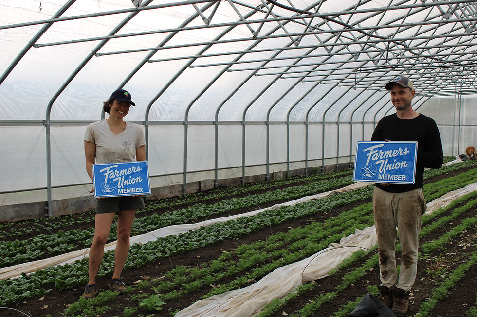 Community Cultivators: Mount Horeb Farmers Grow Relationships Beyond the Field