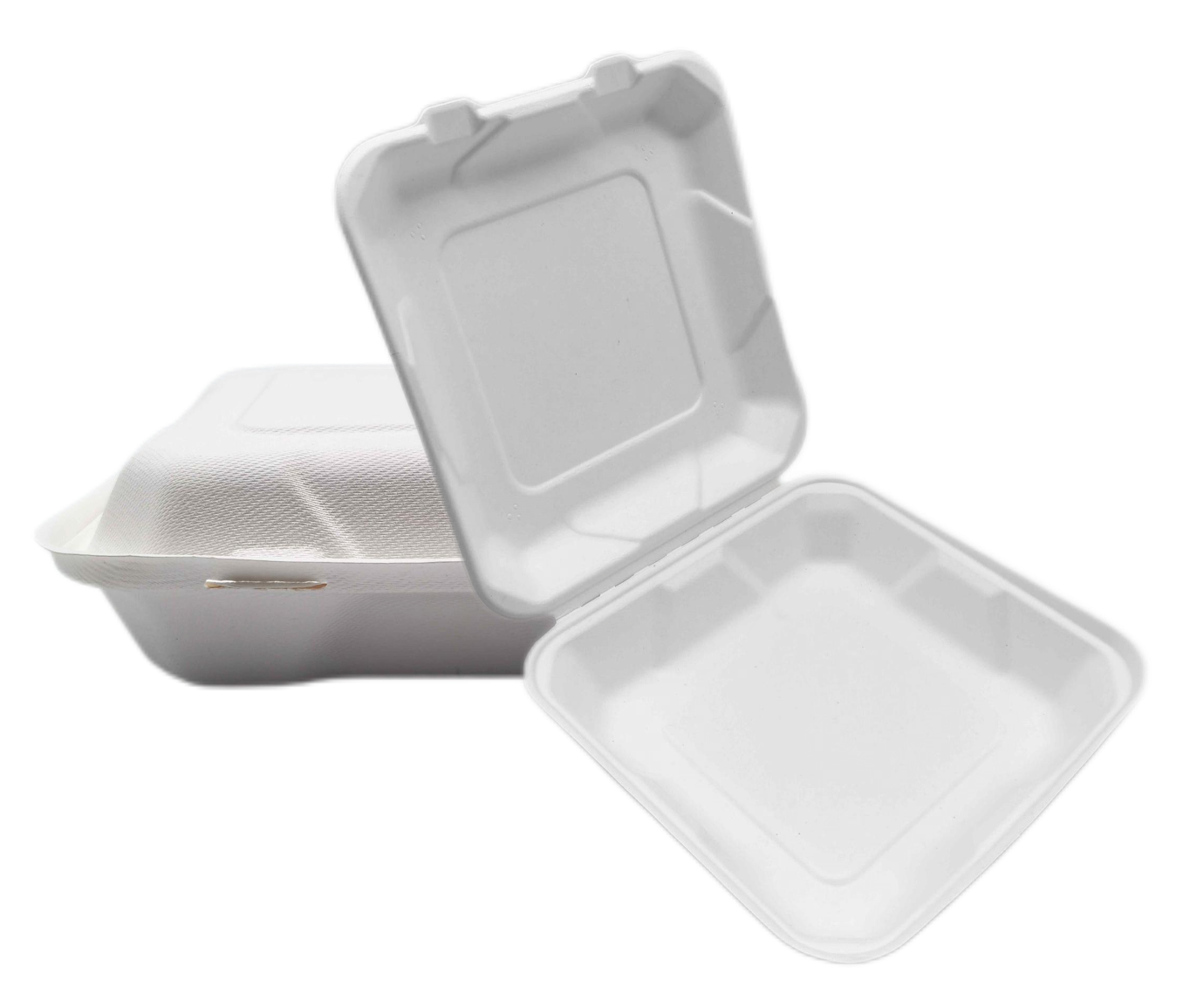 8" Square Sugarcane Clamshell