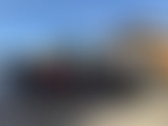 Jährliche Christbaumsammlung der Freien Wähler Schwangau