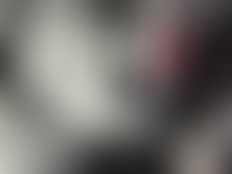 Vanhool alternator werkt niet of onvoldoende