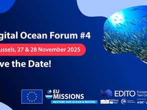 Digital Ocean Forum #4: Advancing the European Digital Twin of the Ocean