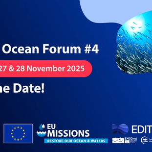 Digital Ocean Forum #4: Advancing the European Digital Twin of the Ocean