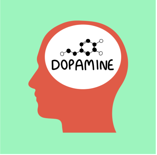 Decoding Dopamine: The secret to your well-being and productivity