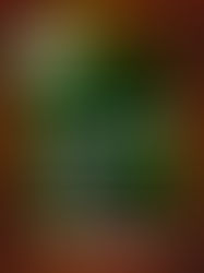 THE OTHER SIDE OF PARADISE - Marylebone