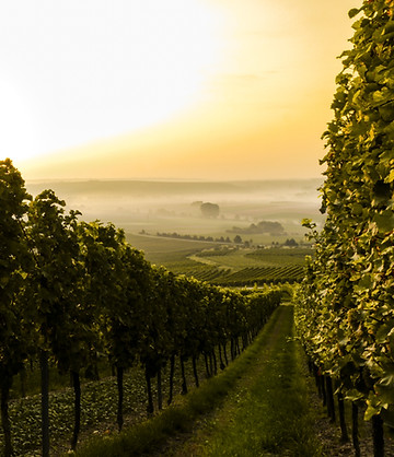 Sonnenuntergang