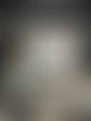 Congratulations to Isabella Zuniga – OLLI Scholarship & Undergraduate Researcher of the Year