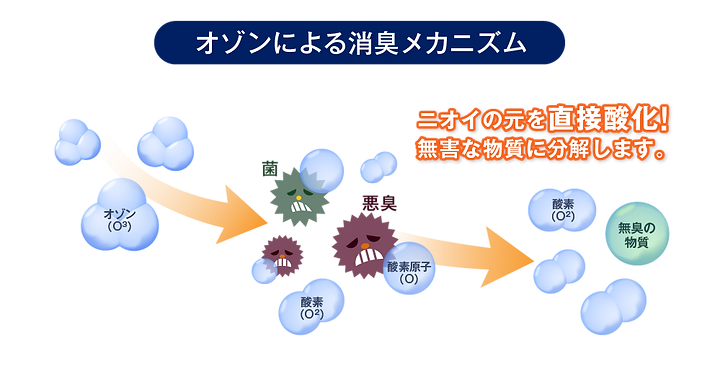 img_08.png