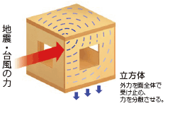 デザイン住宅,木造住宅,注文住宅,展示場,兵庫,西宮,神戸,加古川,リブライフ,リパーロ