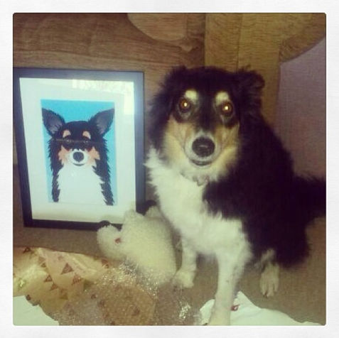 Molly the Border Collie with her portrait