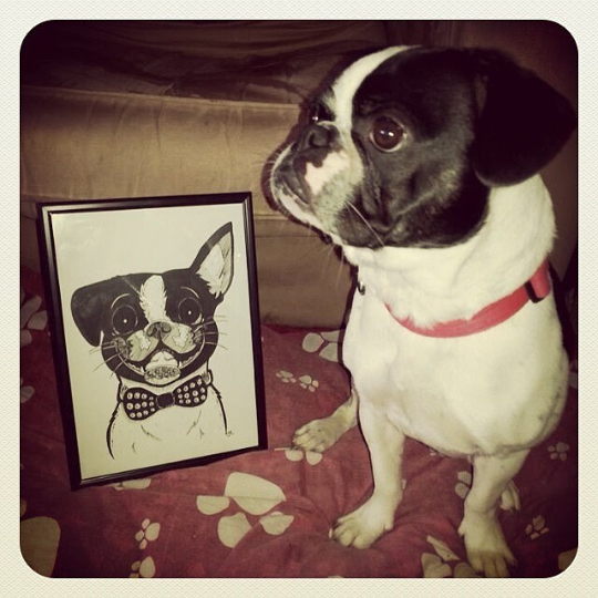 Thumbnail: A photo of a small dog sitting next to a pencil and ink pet portrait of itself, by Sketch Your Pet
