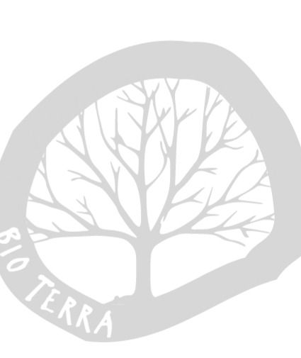 logo_edited.jpg