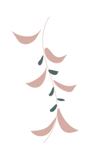 Artboard 7_edited_edited.png