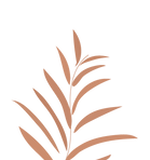 Artboard 6_edited.png