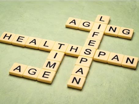 Longevity Unlocked An Interesting Look at How Lifestyle and Blue Zone Lessons Shape the World’s Longest Lives