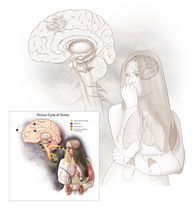 From Sketch to Final