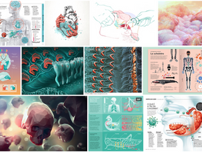 Mint and Coral Color Trends in Medical Illustration