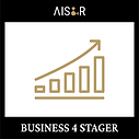 Skillbadge Business4Stager.png