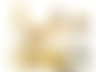 Find Your Balance: Introducing the Harmony Collection