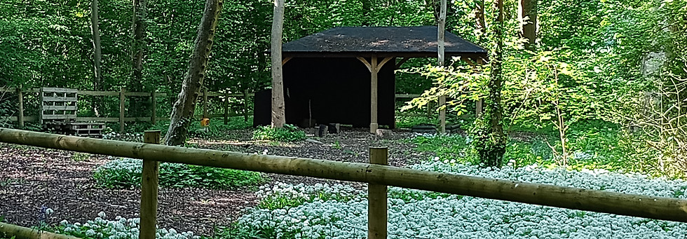 Forest School.jpg