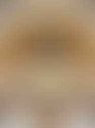 10. Yıl Gururu ve Yeni Yıla Güçlü Adımlar: Maliye-Sen ile Birlikte Daha İleriye!