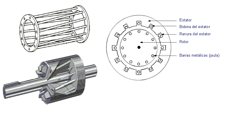 motor-de-jaula.gif