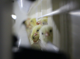 IMG_9710.jpeg