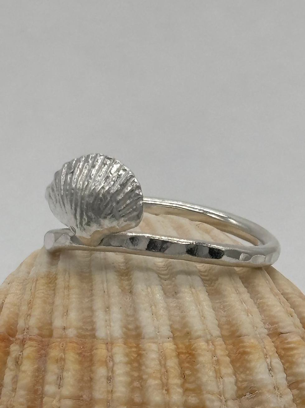 Thumbnail: Shell ring 