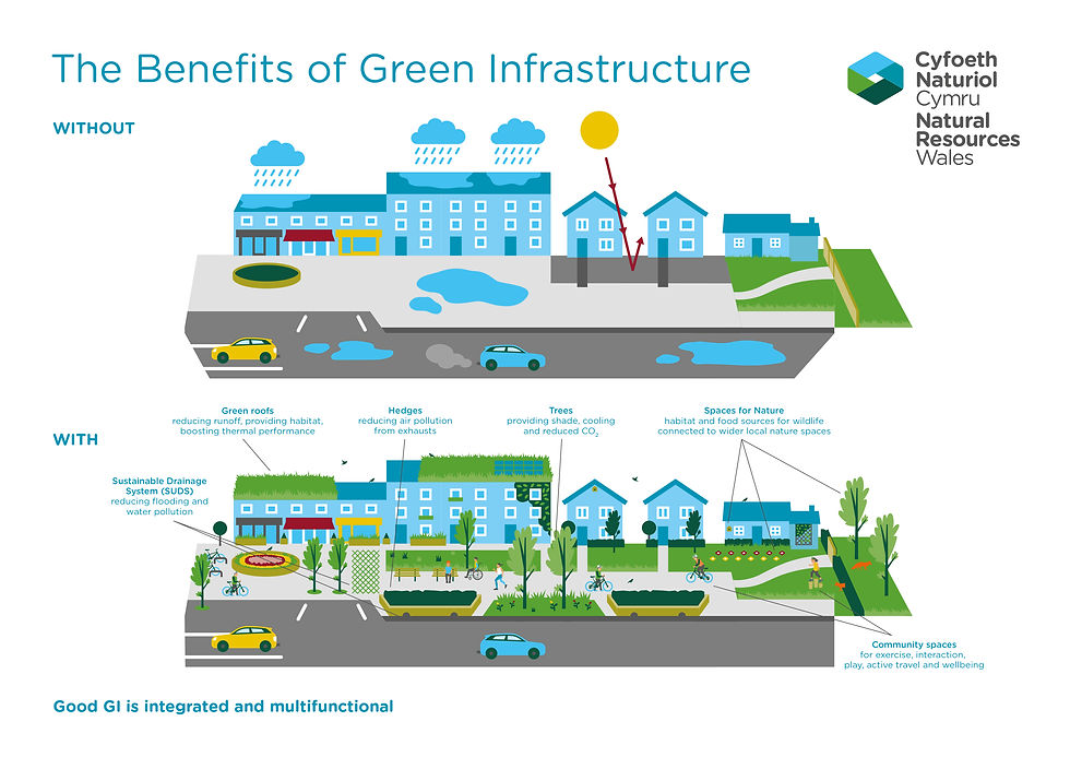 230616-green-infrastructure-infographic-before-and-after-english.jpg