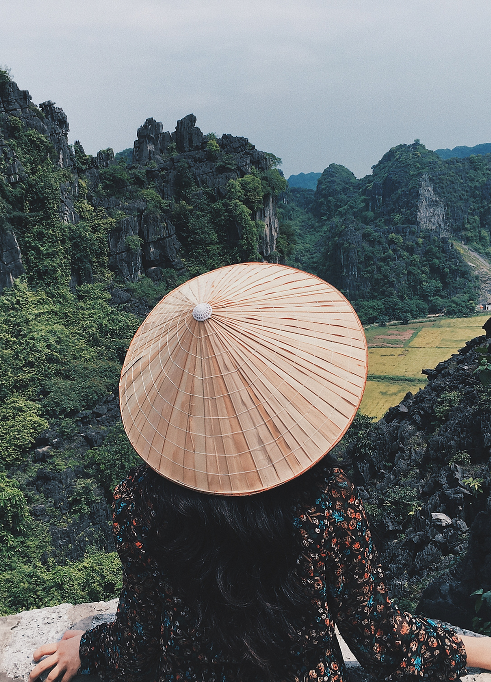 Untitled design (22).png