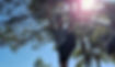 20190829_105146_edited.jpg