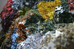 Cluster #1, 2014