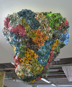 Cluster#1, 2014