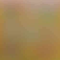 20170427_111337