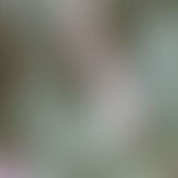 20170517_120543