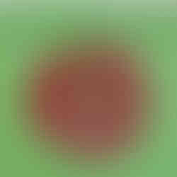 image-0-02-04-8eb72d10b5d083655d783906032022b7702e79055aacc4c9eb72bb8e66d5b302-V