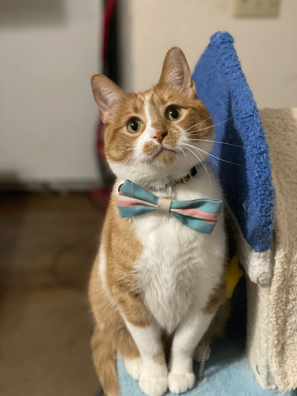 Vinny