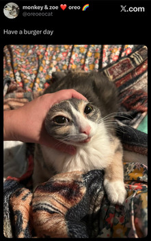 A screenshot from X of Monkey being burgered, @oreoeocat, Aug. 4, 2025.
