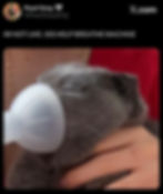 A screenshot from X of Pearl Grey using her inhaler and being displeased about it, @PearlGreyGirly, Oct. 11, 2025.