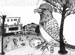 rebecca hendin gillett square drawing 1.jpg